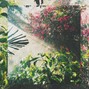 PIO - SUN