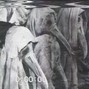 ROLVND - pestilence