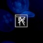 Rigo Raw - CALM - VIBE | TORY LANES