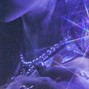 prod.wipemytears - instagram
