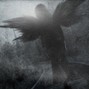 seeyulater - Comet