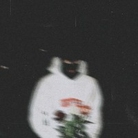 LIFESABLUR