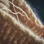 teffturrynem - Pulling Threads