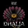 wbalint24 - Dhalia