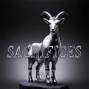 wbalint24 - "Sacrifices"
