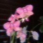 prod_vaarchi - Stream - Ken Carson x Destroy Lonely x Yeat Type Beat