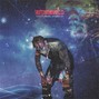 V1T0 - Nocturnal Animals