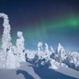 Winterborn - Dec 25