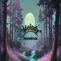 Mohsin Shabir  - Melody