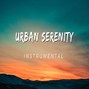 Mohsin Shabir  - Urban Serenity 