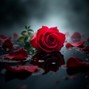 CrmznBtz - Red Flower