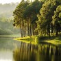 Righter Music - Tranquility