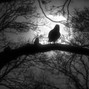 Gango Beatz - Dark Trap Beat | Nightfall 