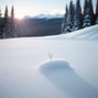 Oarber - Snow On The Grass