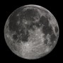 Spcasso - Moonlight