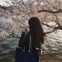 flojy - spring (prod. flojy x yashio)