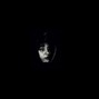 prodCxma - ALL ESSENTIALS - DRUMKIT