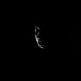 prodCxma - Dark Trap Beat "FALLING"