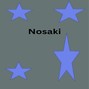 zeeshan.shahzad - NOSAKI