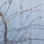 Dreamcourt - Chromosome