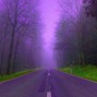 DUSTMYTE - Rain