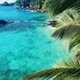 Teka 9 - Tropical