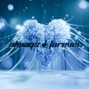 prod.avignon - Always+Forever Stash Kit 2024 @prod.avignon
