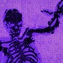 geryxbeats - Bl3h