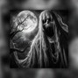 blackfard  - Shooter | Bones Type Beat | Phonk Type Beat