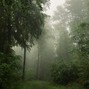 Marssmusik404 - Exhumé..