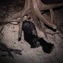 aural error - zero dimension