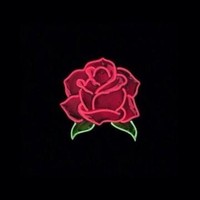 lilroses