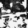alexardilamontes - SATURN 333