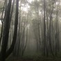 RobertGCL - Khole Vertigo