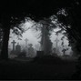 RobertGCL - Grey Howl