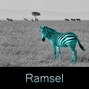 Ramsel - Safari