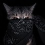 Demidrg - dark trap beat 130 bpm A min