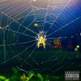 SAFi - WheredYouFindIt