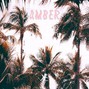 Info - Amber