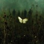 GLYPHS - You're Dead