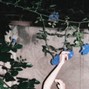 GLYPHS - Wildflower C min