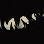 GLYPHS - Haunted house A min