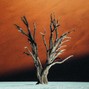 GLYPHS - expectnothing // a# min