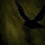 pluto - [FREE] Dark Trap Type Beat - 'crow'