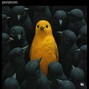 prd.kelvin205 - AZONE AFRO