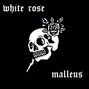 malleus - white rose