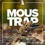 sixundersevenproductions - Mous Trap