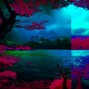 Torcz - Safehouse