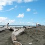 emmie - Shore