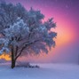 SHEbangzProductions AKA Sarah Beats - Winter Whispers